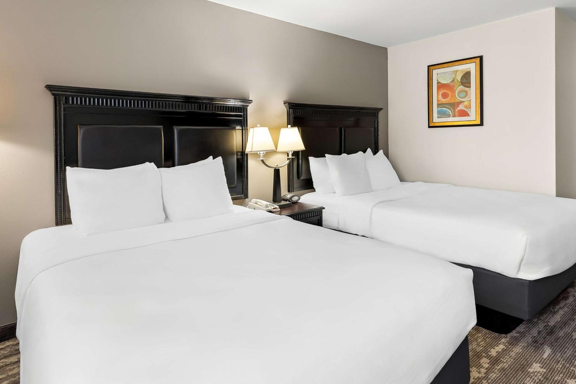 Best Western Saluki Inn Carbondale Bagian luar foto